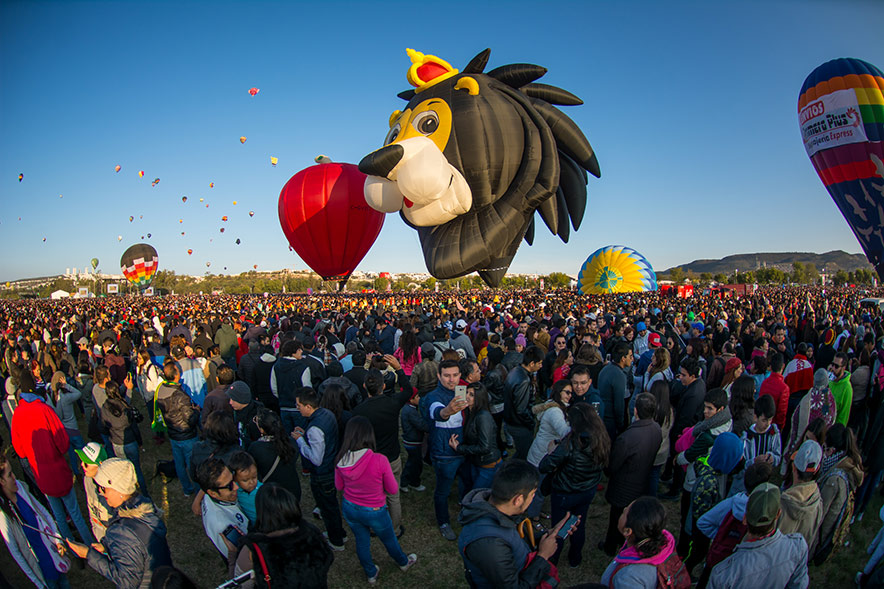 foto: FIGLeon