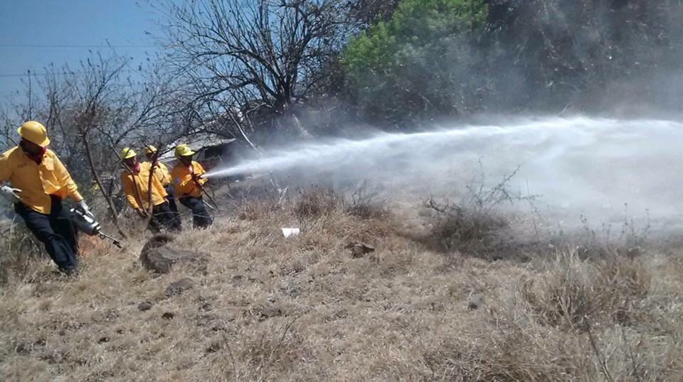 Registra Michoacán 208 incendios forestales en lo que va del año