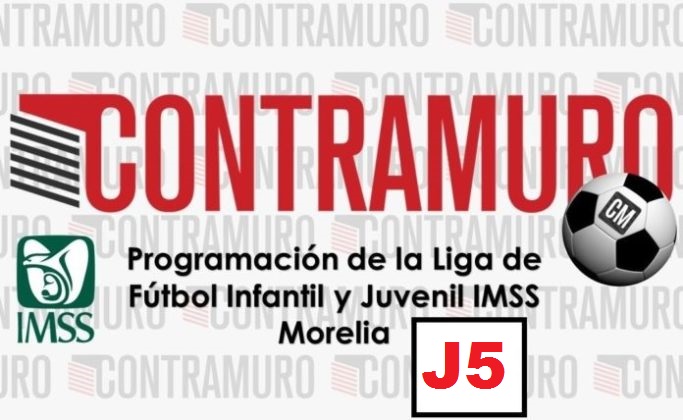 Programación liga IMSS