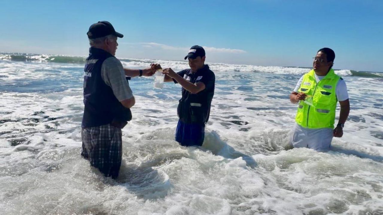 Playas Michoacanas Aptas Para Vacacionistas Noticias De Michoacan