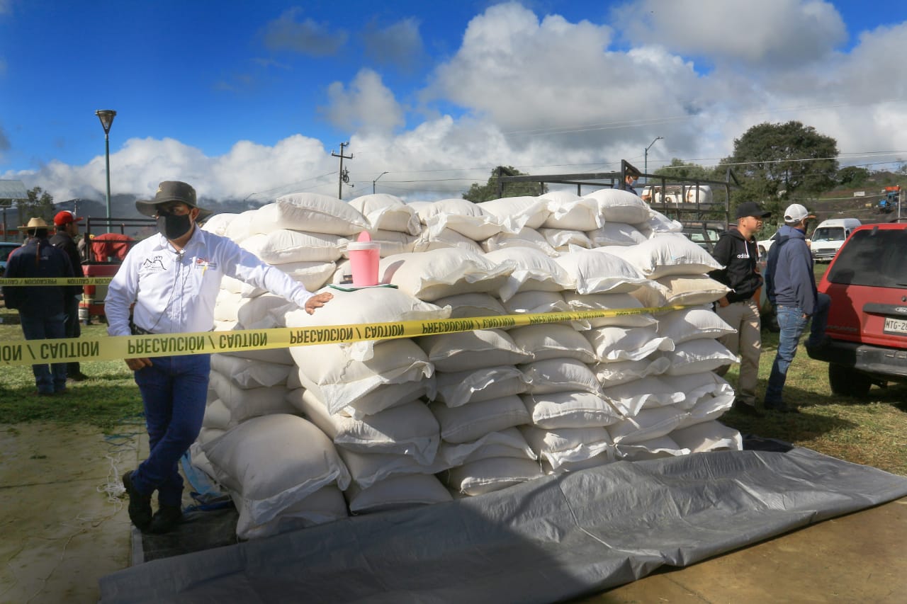 Gobierno de Morelia arranca acciones