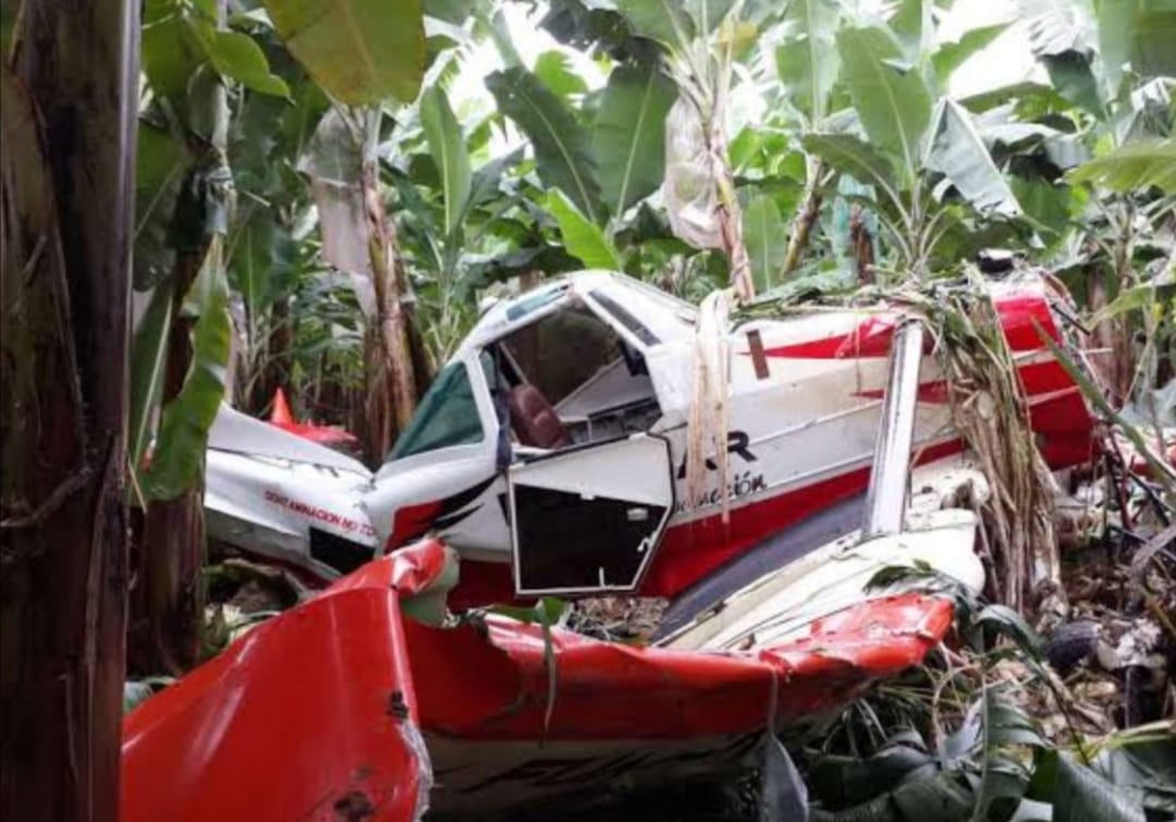 Chocan dos avionetas fumigadoras en una huerta, hay dos muertos