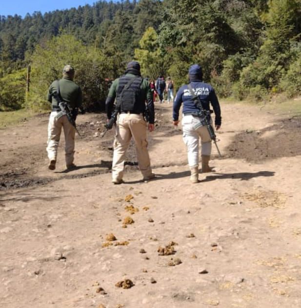 Asegura SSP 49 metros cúbicos de madera sin documentación