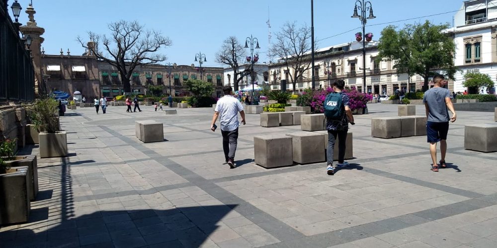 No es Egipto, ni son diez, es Morelia con problemas de dos plagas