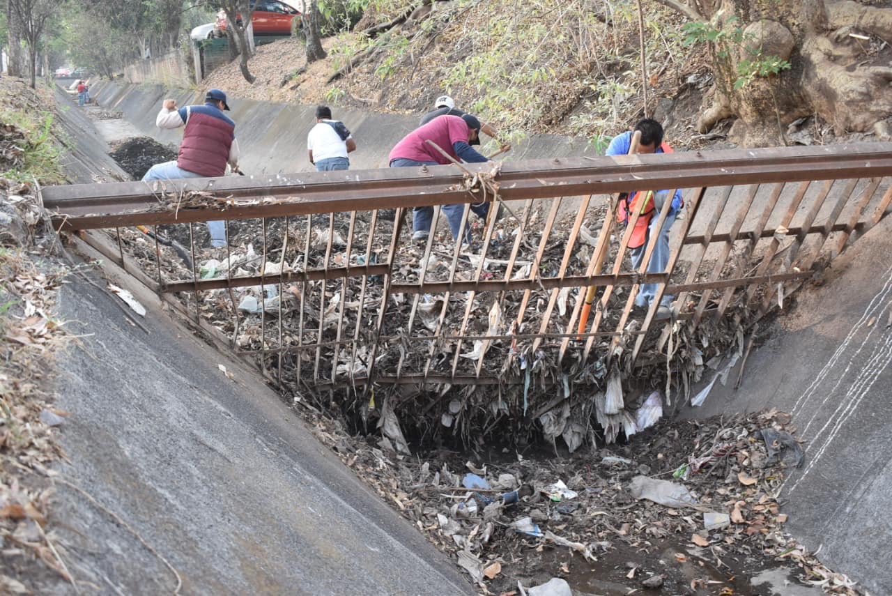 Hasta 207 mil pesos pagará quien tire basura en áreas verdes