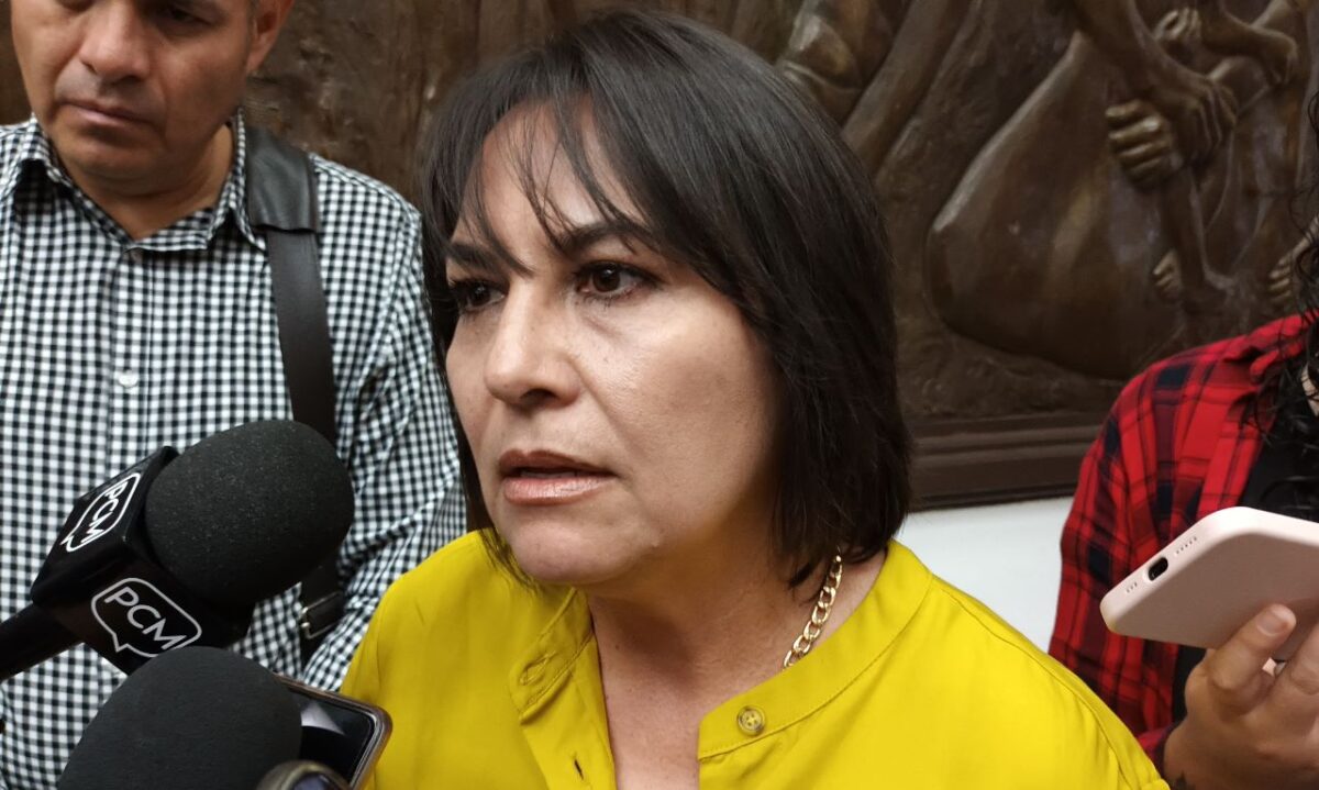 Descarta Lariza Pérez que salida de militantes debiliten al PAN