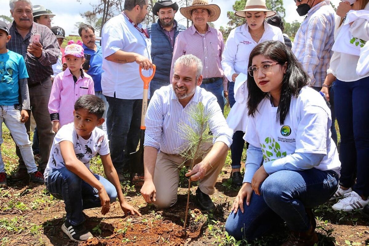 Gobierno de Bedolla ha incrementado 28.7% las áreas de protección ambiental