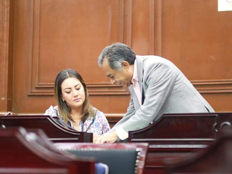 derecho diputados Mónica Valdez