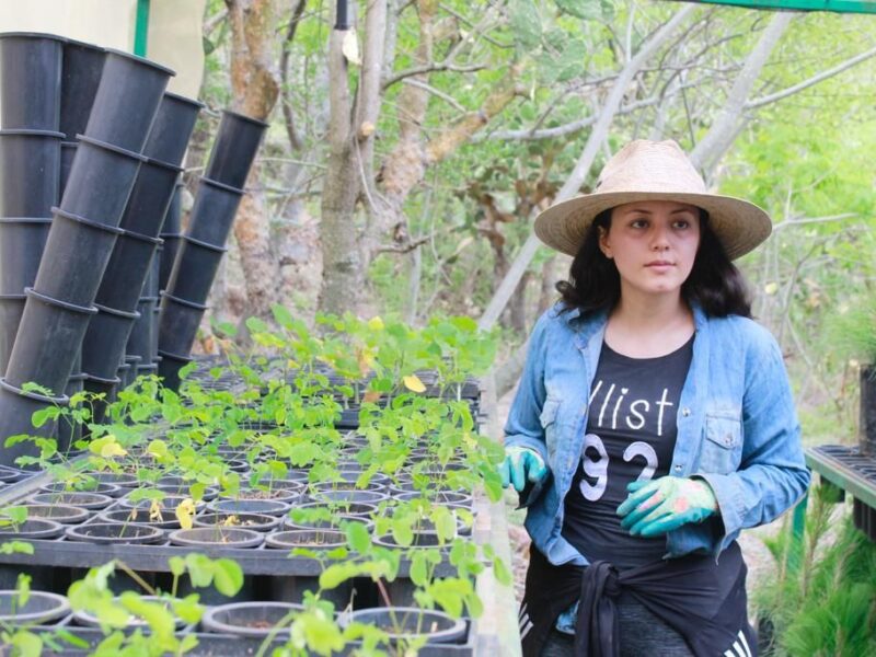 Bedolla seguir recomendaciones reforestar