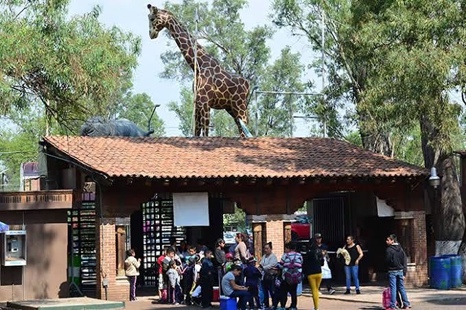 El Zoológico de Morelia compromiso con la fauna