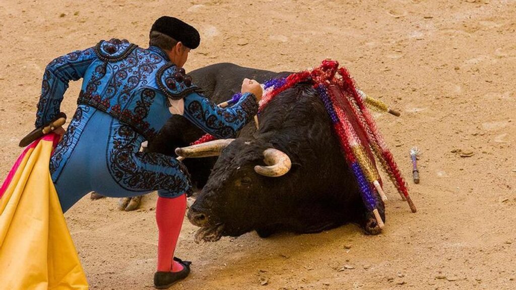 Corridas de toros llega a la justicia federal