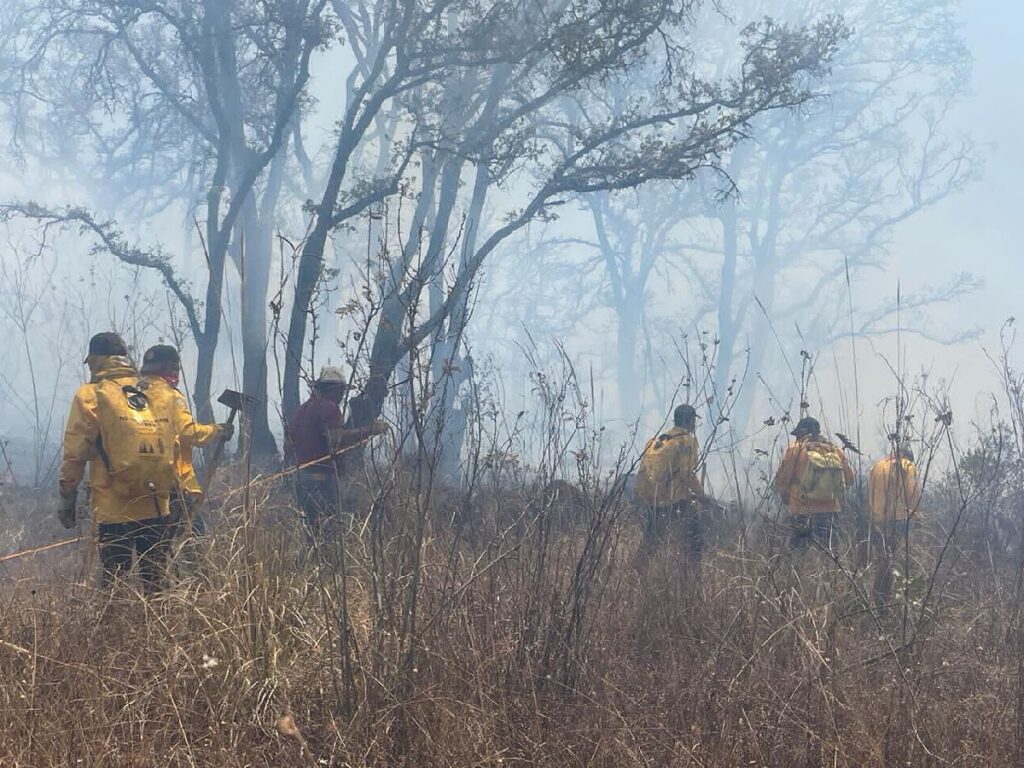 Siguen incendios forestales en Michoacán - brigadistas