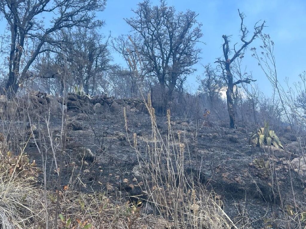 Siguen incendios forestales en Michoacán - incendio