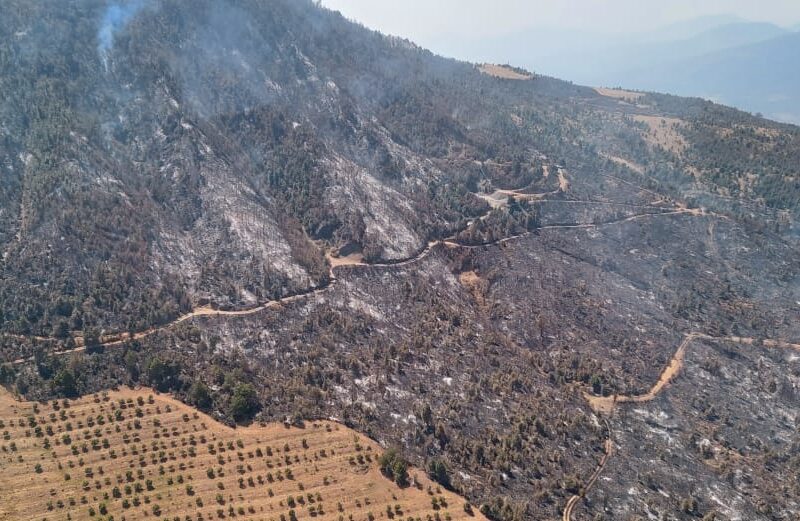 Helicóptero sobrevuela incendio forestal en Purépero y Zacapu; brigadas atienden por tierra