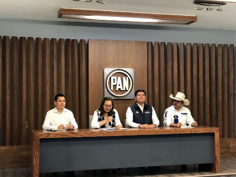 analiza pan Michoacán judicialización electoral por violencia