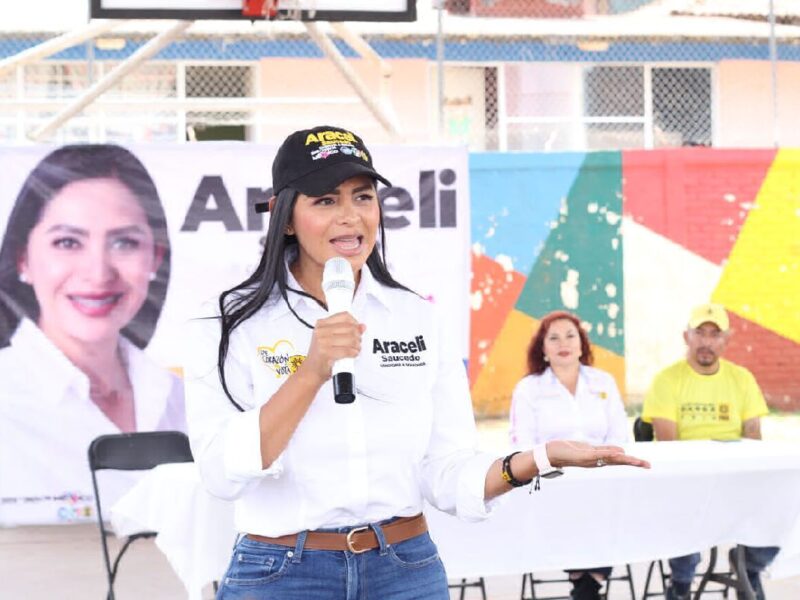 araceli saucedo llama a mujeres al voto por México