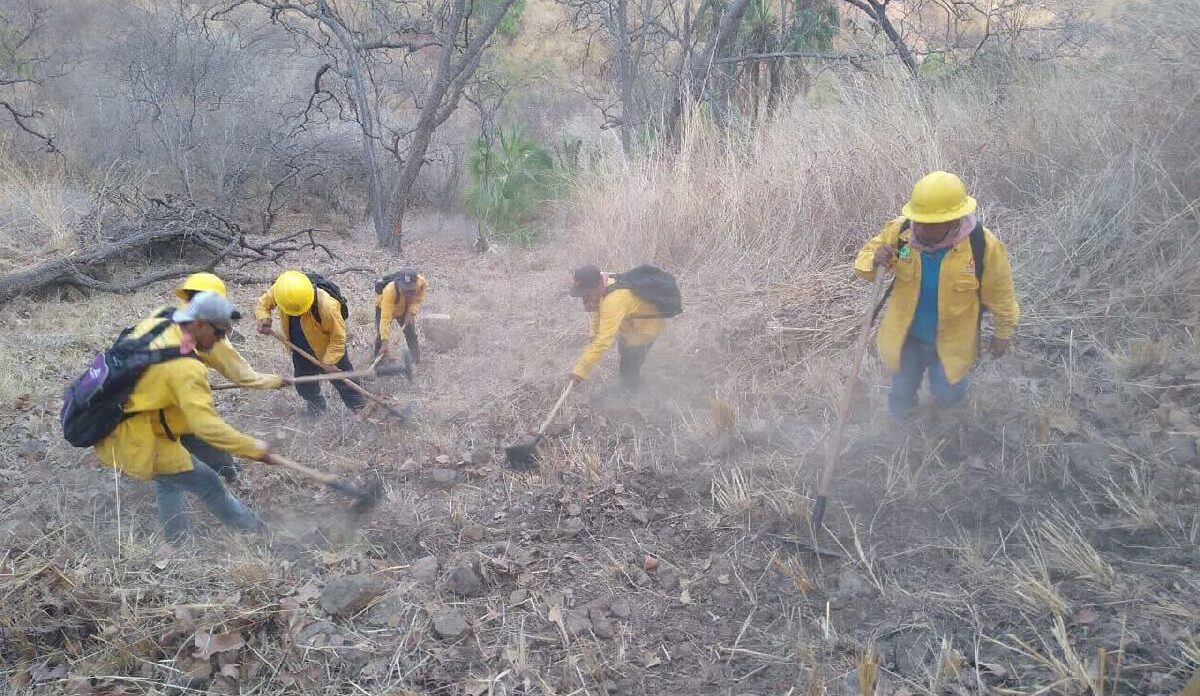 brigadista fallece en incendio forestal en Tuxpan