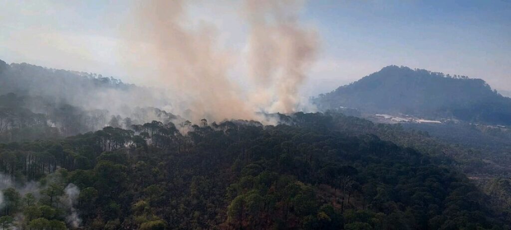 Coalcoman municipio con mayor superficie afectada