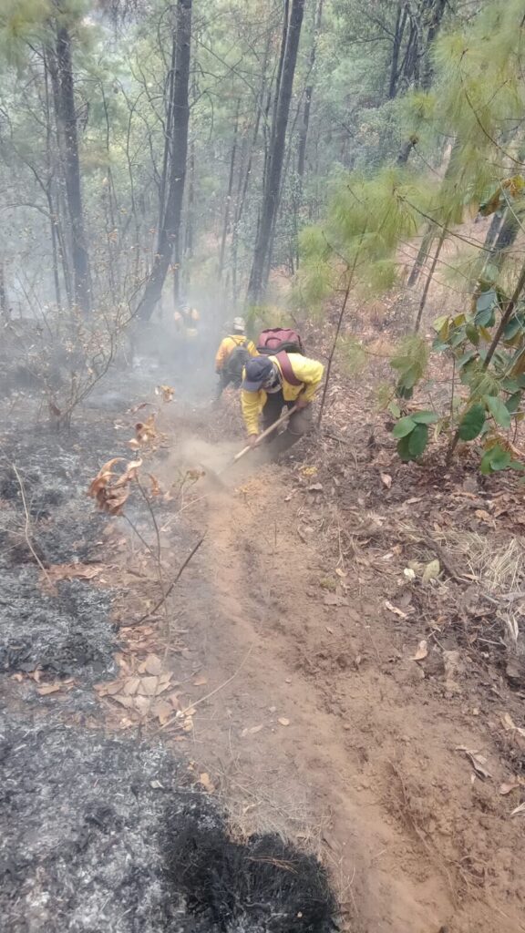 Controlado el incendio forestal en Hidalgo
