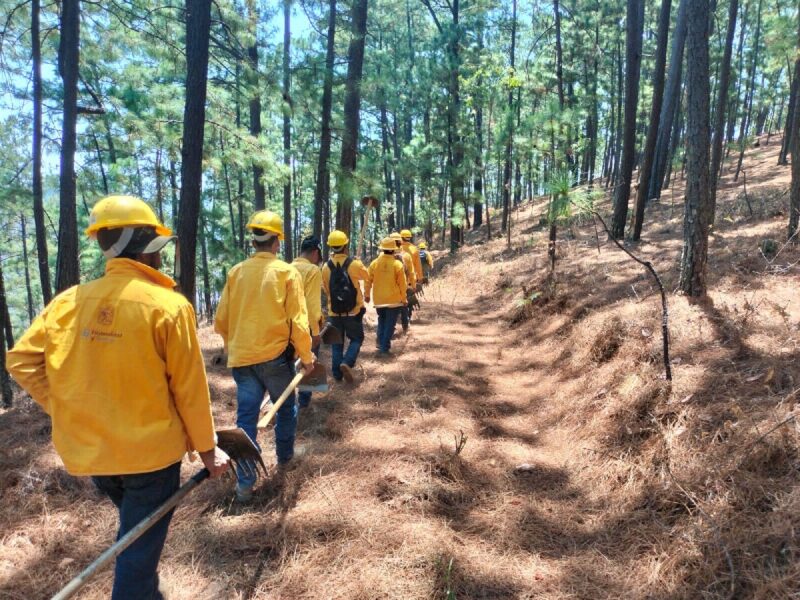 Controlado Incendio forestal en Hidalgo