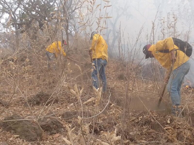 controlados incendios forestales de pátzcuaro y monarca en Michoacán