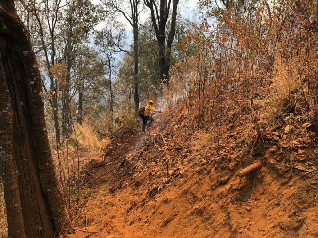 controlados incendios forestales de pátzcuaro y monarca en Michoacán - brigadas