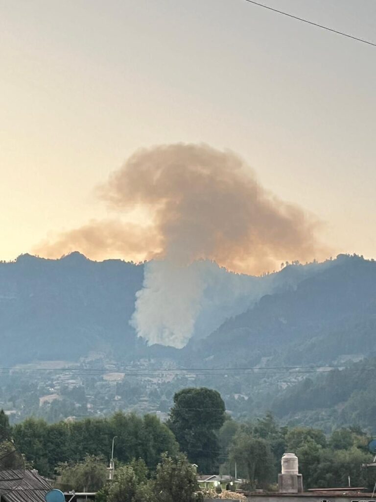 controlados incendios forestales de pátzcuaro y monarca en Michoacán - cerro