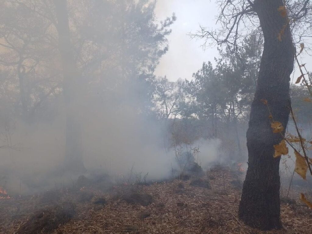 controlados incendios forestales de pátzcuaro y monarca en Michoacán - humo