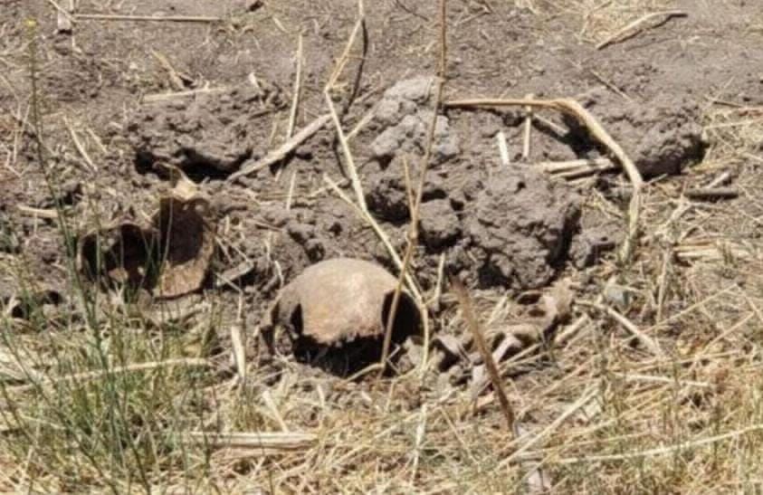 descubren fosas clandestinas en Michoacán - huesos