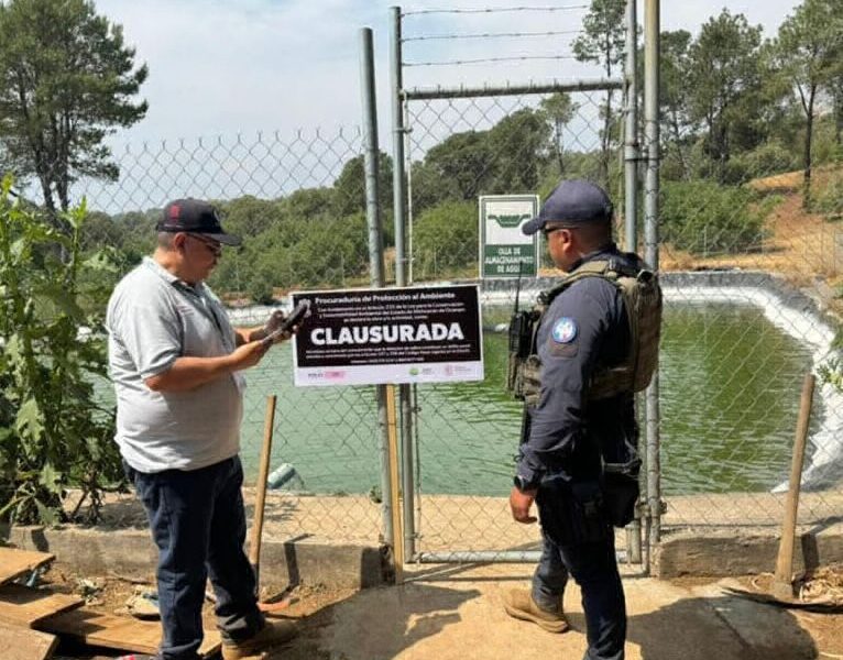 Guardián Forestal detecta ollas de agua en Pátzcuaro