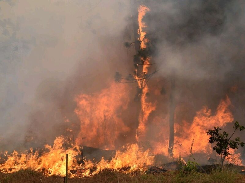 Michoacán suma más de 25 mil hectáreas afectadas por incendios forestales