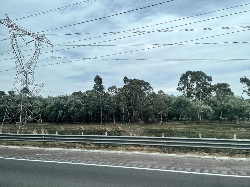 Promete AMLO ayuda energética para Belice