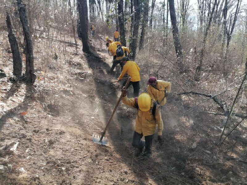 Se suma helicopotero helibalde contra incendio forestal en Pátzcuaro