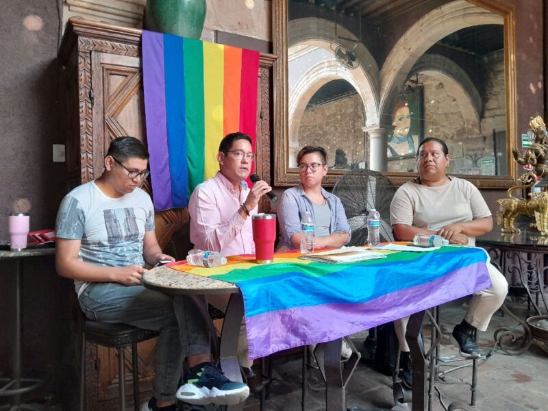 simulación candidaturas lgbt colectivos 2024