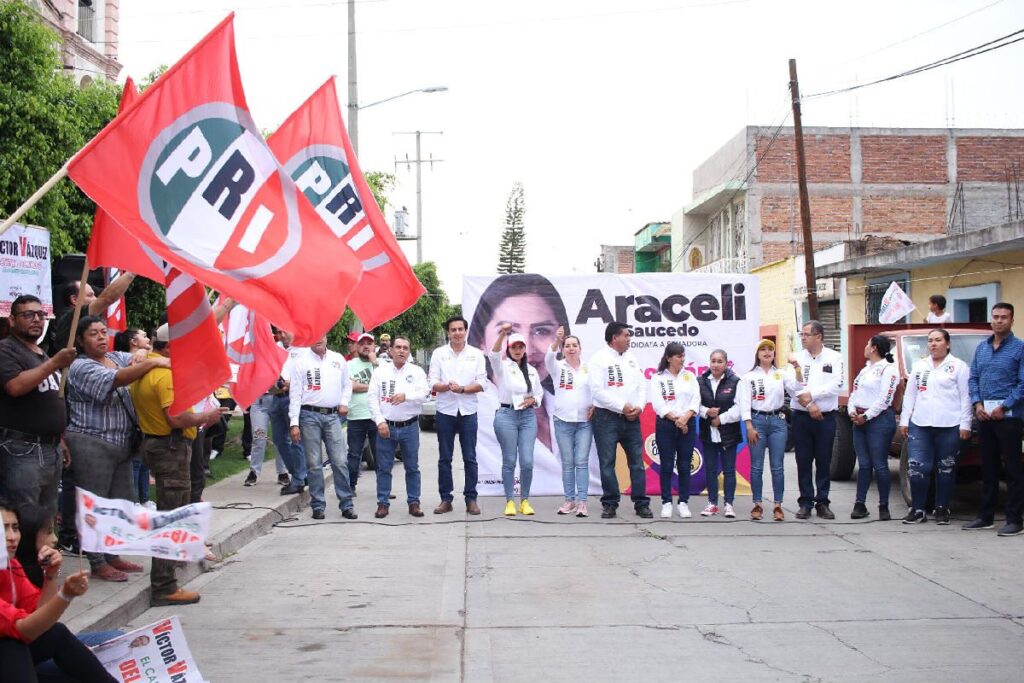 Sin miedo para recuperar México Araceli Suacedo - campaña