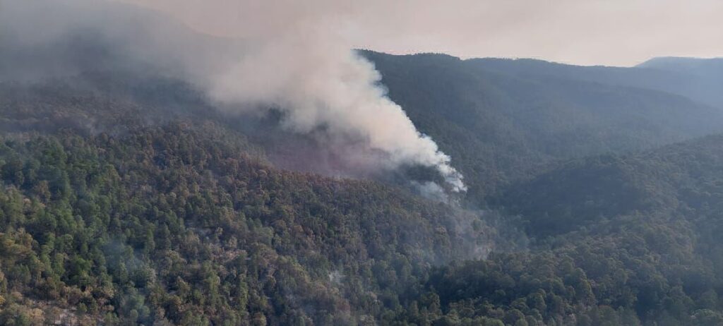 unen esfuerzos por aire y tierra contra incendio forestal