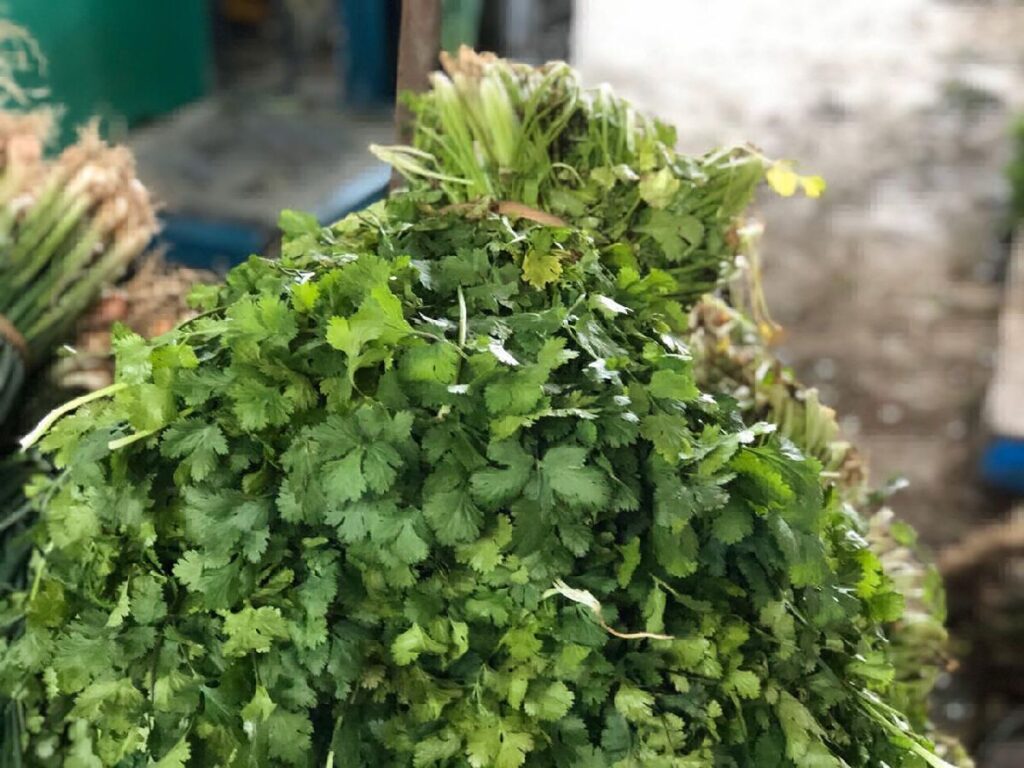 aumento en el precio del cilantro en México