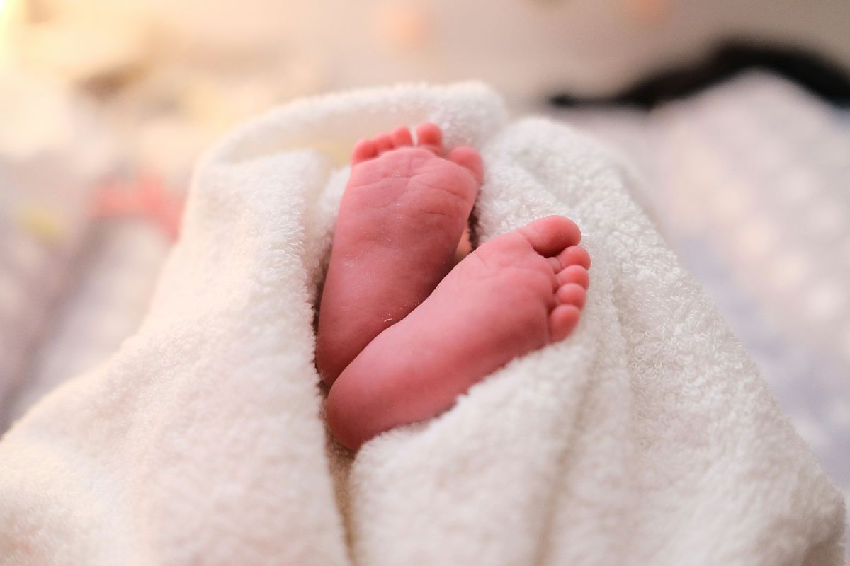 Cofece investiga compras de pruebas neonatales