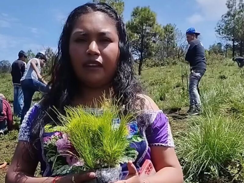 Consejos Indígenas exigen liberación de María Cruz Paz