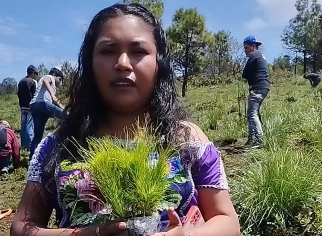 Consejos Indígenas exigen liberación de María Cruz Paz