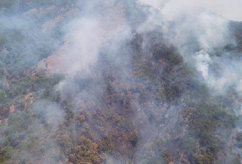 El incendio forestal en Uruapan