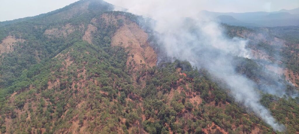 El incendio forestal en Uruapan - cerro