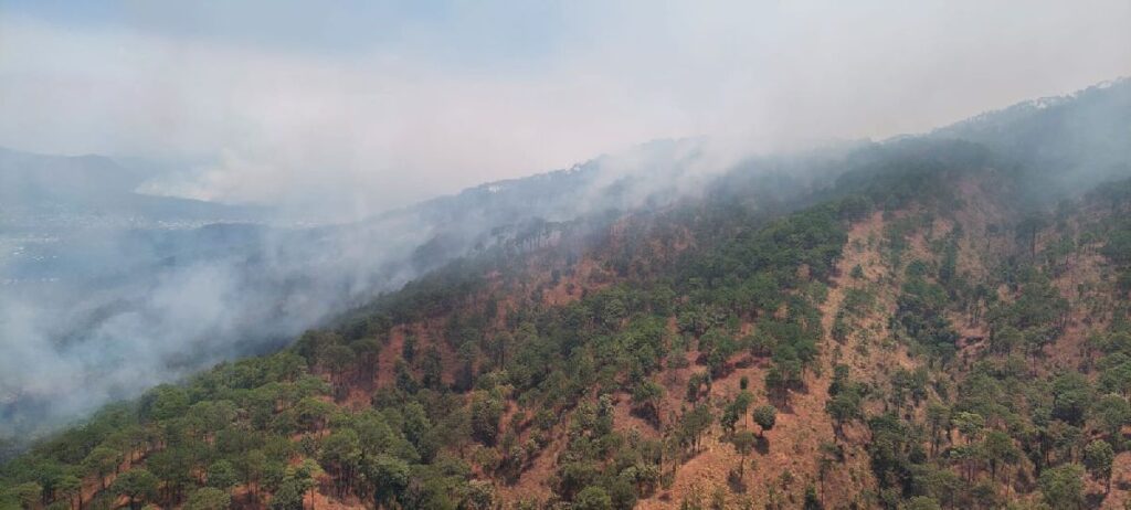 El incendio forestal en Uruapan - hectareas