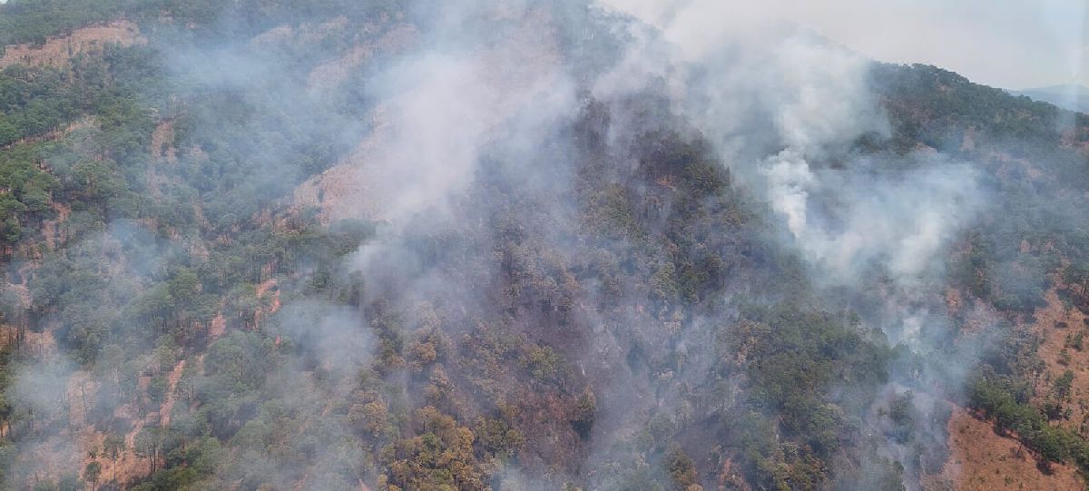 El incendio forestal en Uruapan