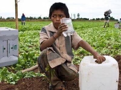 Prevalece en México la explotación del trabajo infantil