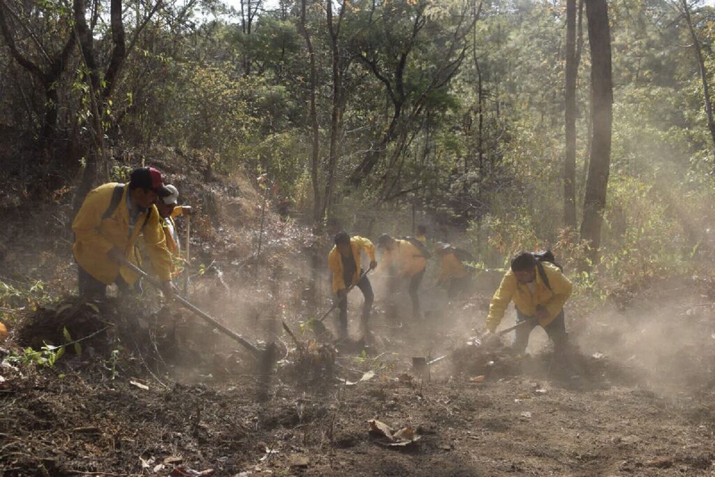 en Michoacán continúa la lucha contra incendios forestales