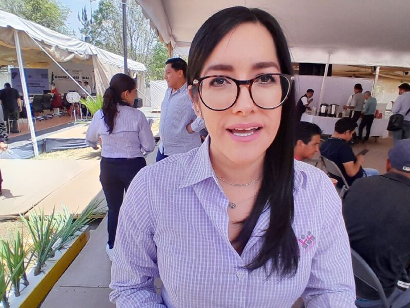 IEM solicitó refuerzo de seguridad para elecciones en Michoacán