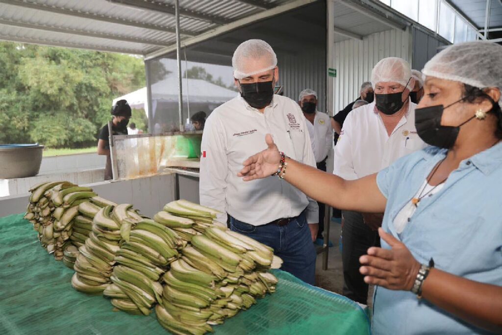 Michoacán abre primera planta procesadora de harina de plátano