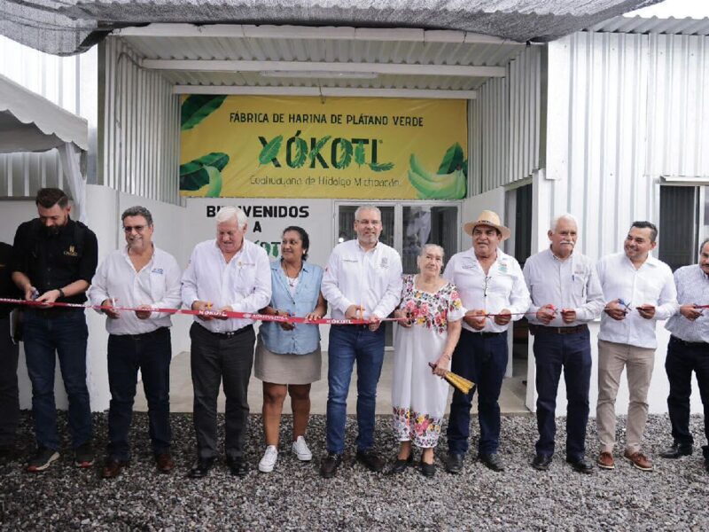 Michoacán tiene la primera planta procesadora de harina de plátano