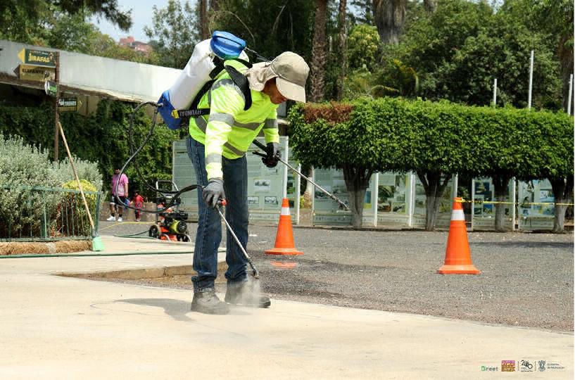 Michoacán destaca por tecnología verde para purificar el aire